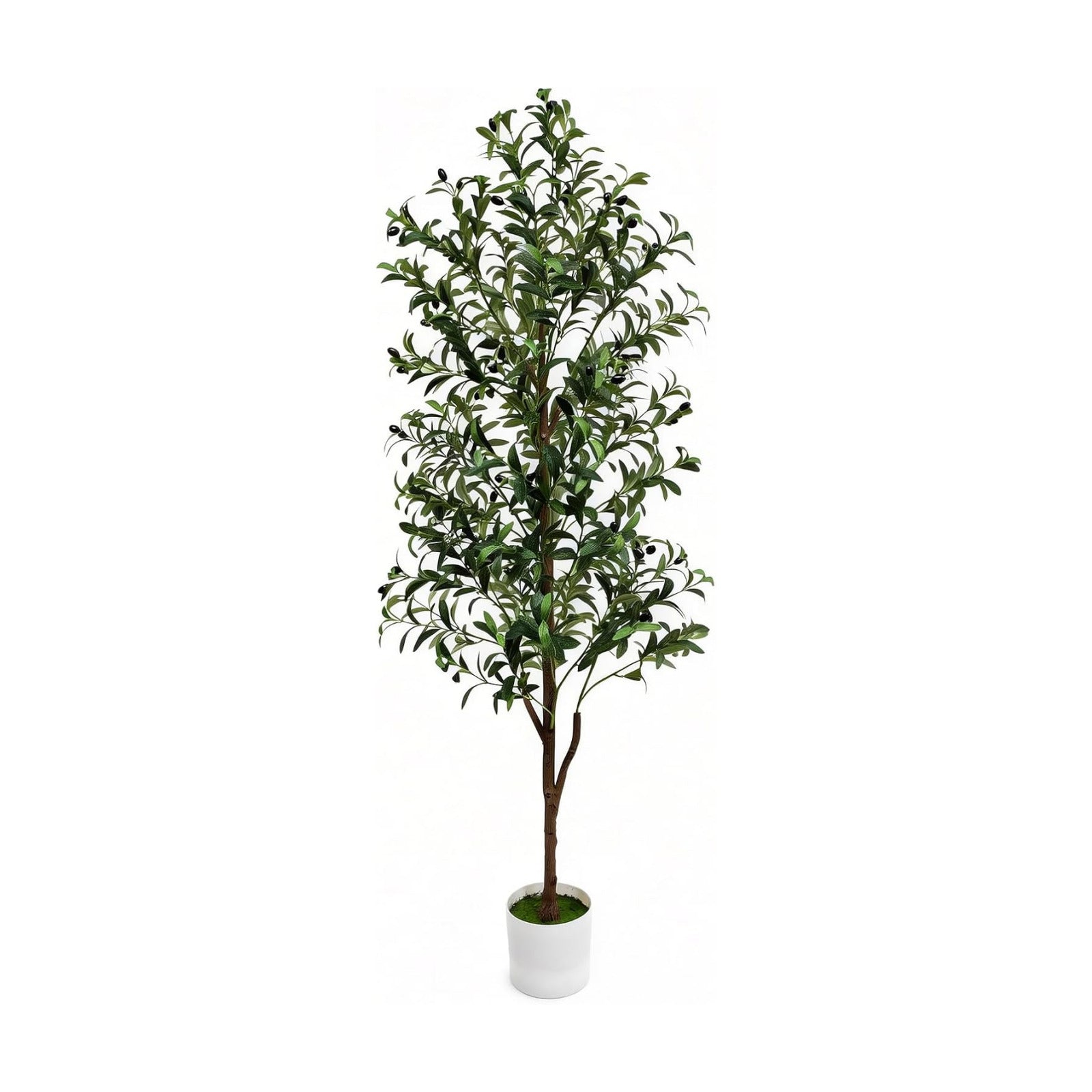 Artificial Olive Trees Plant / 6ft / 6 Inch