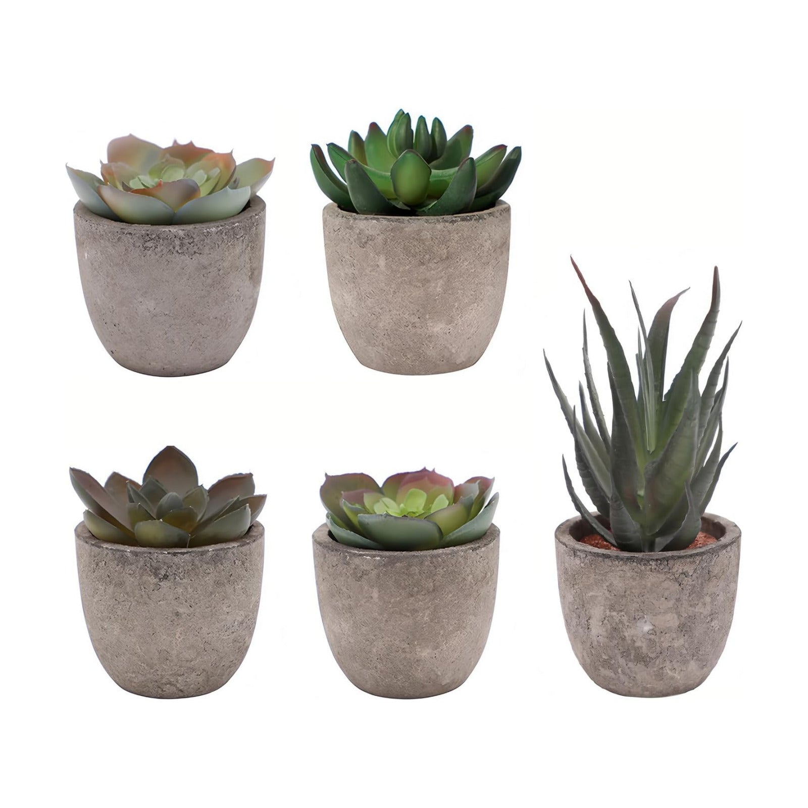 Artificial Succulent Plants in Pots / Set of 5