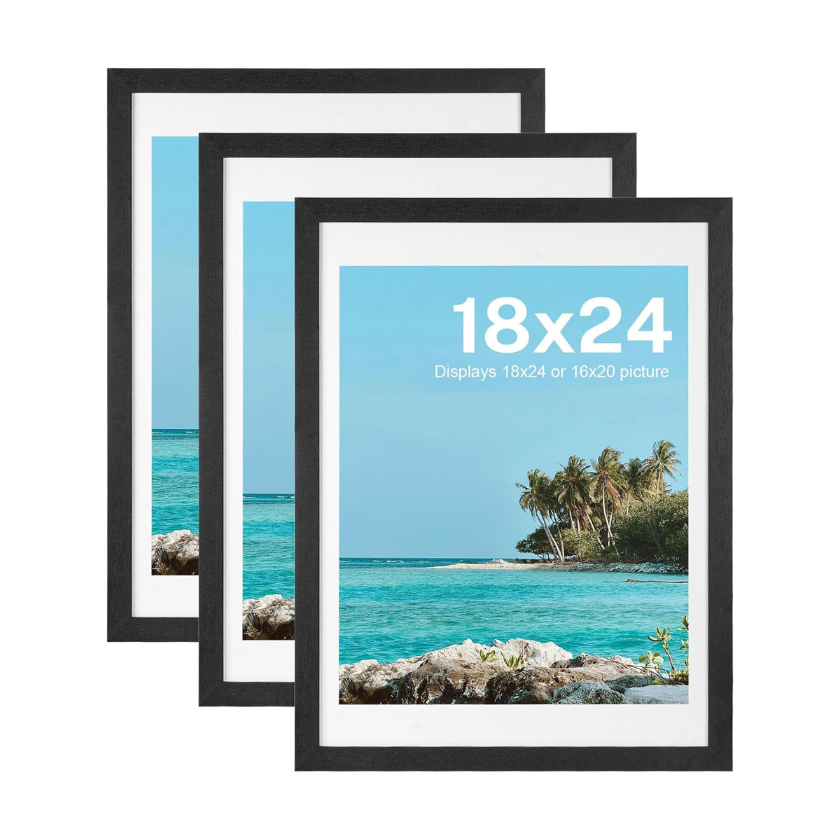 HOUSE DAY 3 Pack Poster Frames 18 x 24 Wood and Polished Plexiglass 18x24 Frame without Mat or 16x20 with Mat