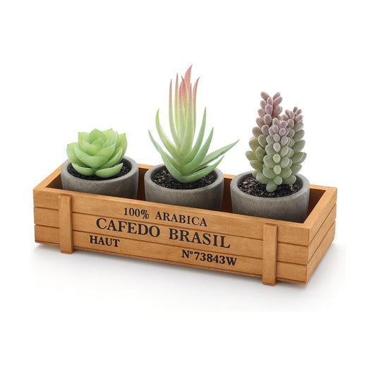 Wood Planter Box / Set of 3