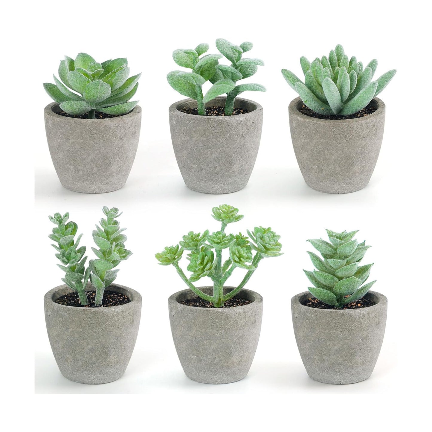 Artificial Succulent Plants Potted / Green / Set of 6