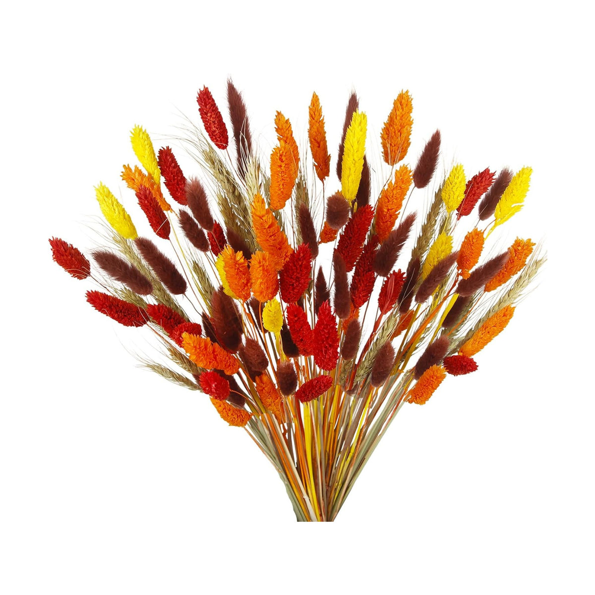 100Pcs Bunny Tail Dried Flowers Dried Fall Flowers Pampas Grass Decor