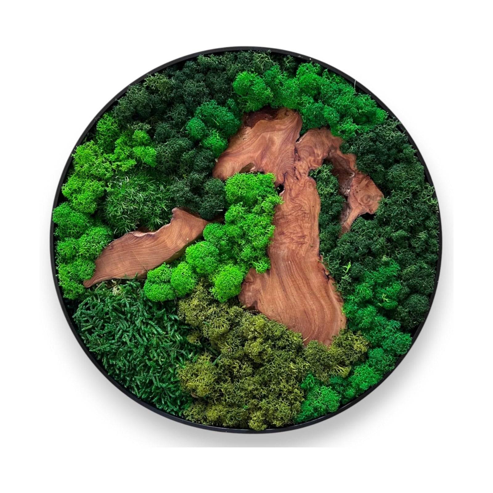 Unique No-Maintenance Decor / Round/green / 12"L x 12"W / Scattered