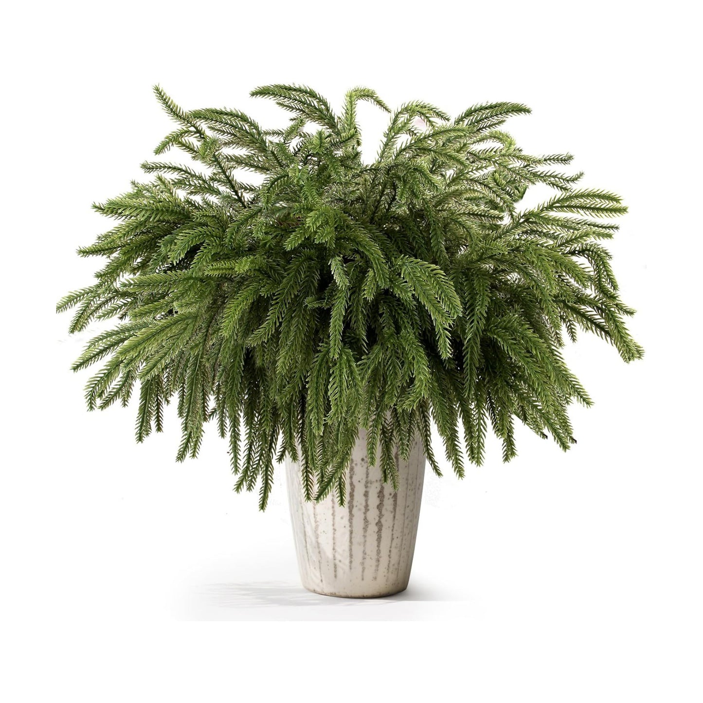 Christmas Norfolk Pine Branches / Pinecone Pick / Set of 18