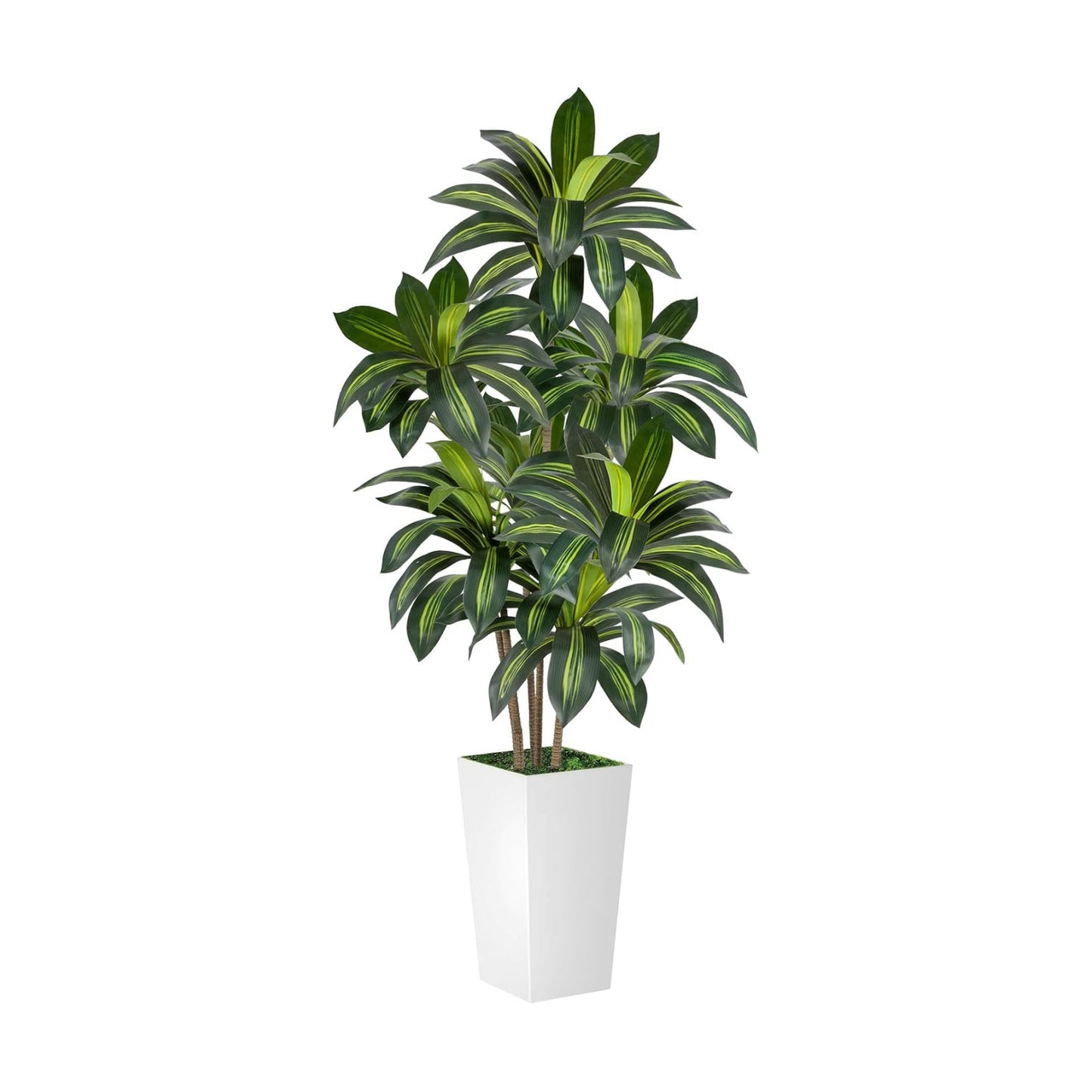 VIVATREES Dracaena Tree 6FT Artificial, 72in Tall Faux Dracaena Tree with 15.7 White Planter, Fake Potted Tree for