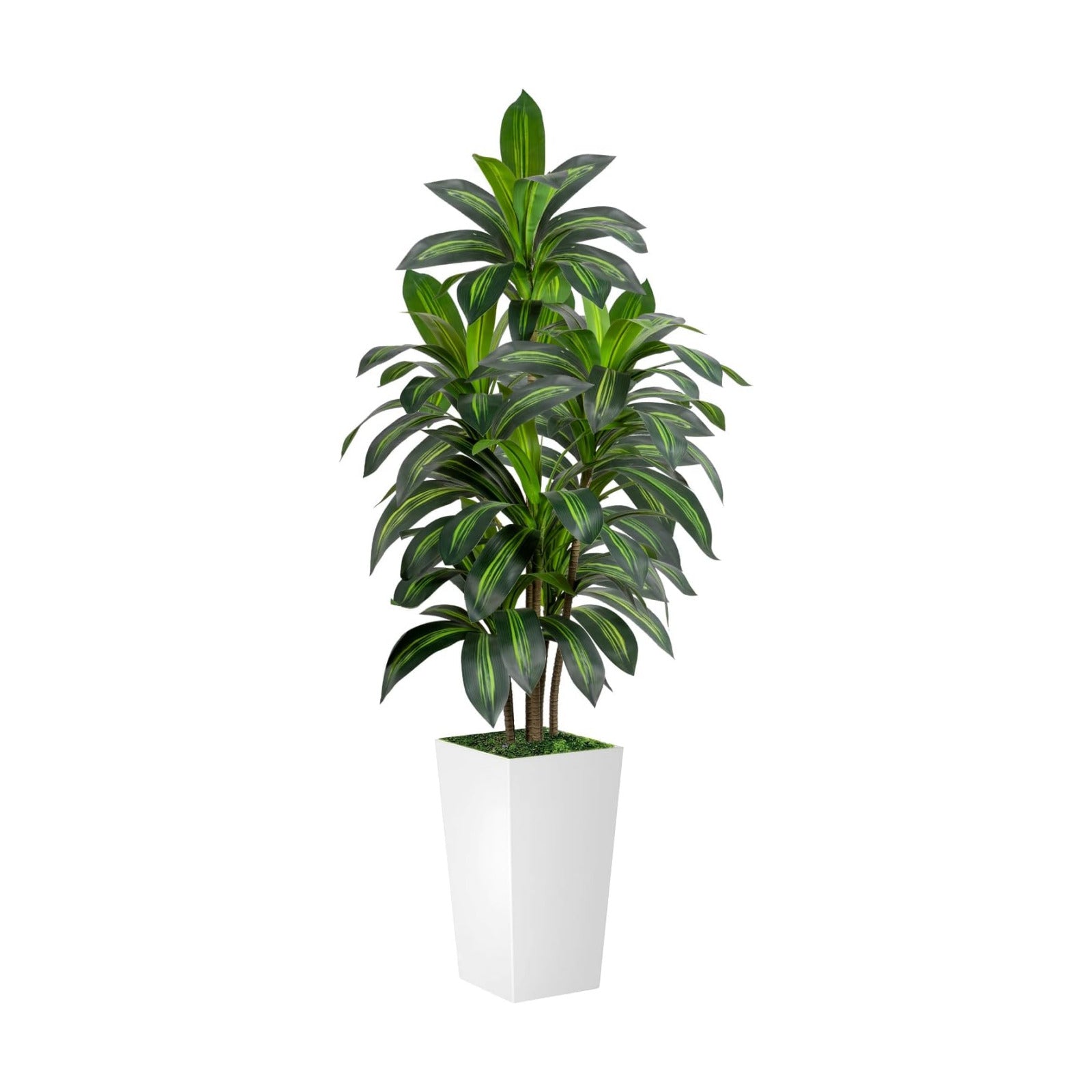 VIVATREES Dracaena Tree 5FT Artificial, 60in Tall Faux Dracaena Tree with 15.7 White Planter, Fake Potted Tree for
