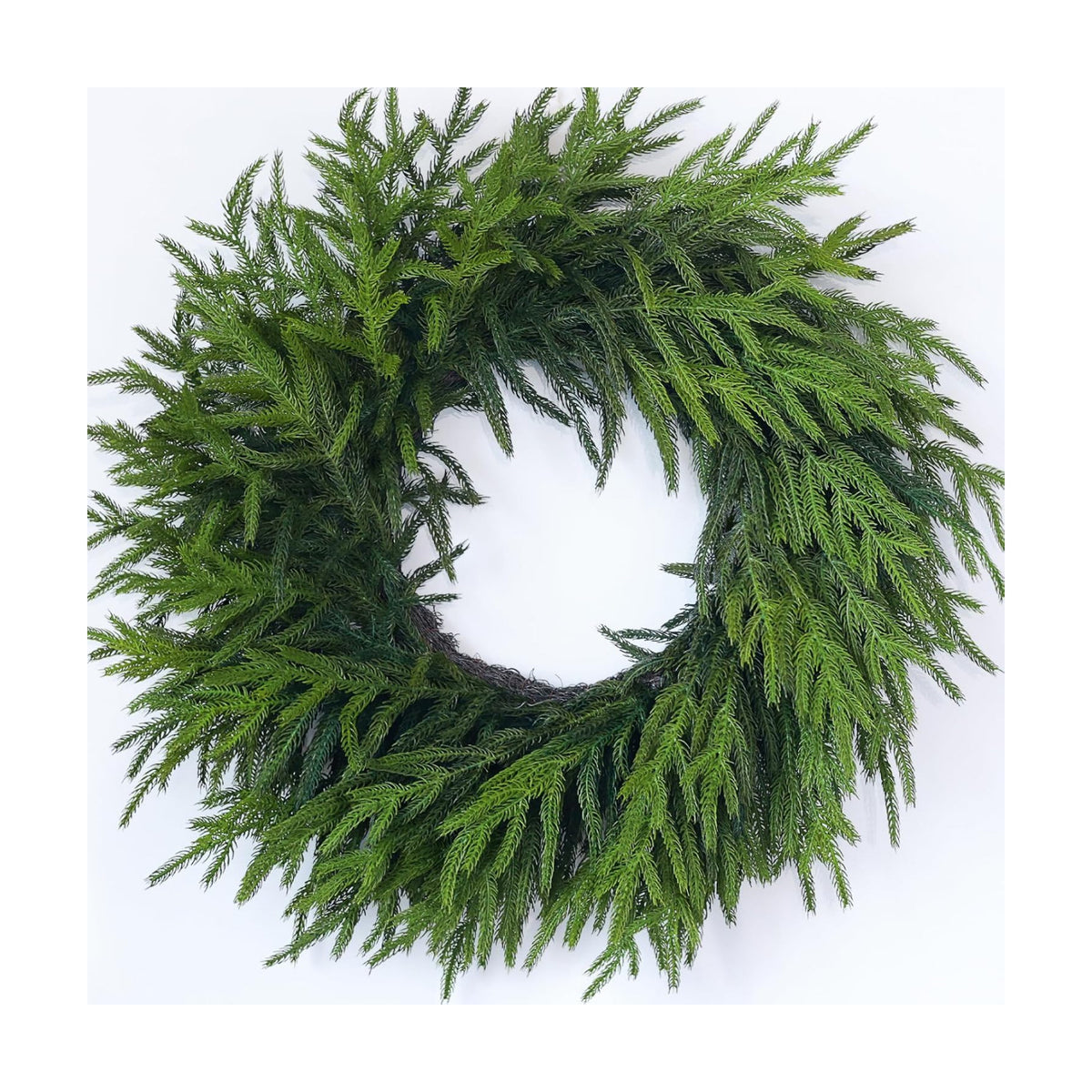 24" Lifelike Touch Artificial Christmas Norfolk Pine Wreath for Front Door