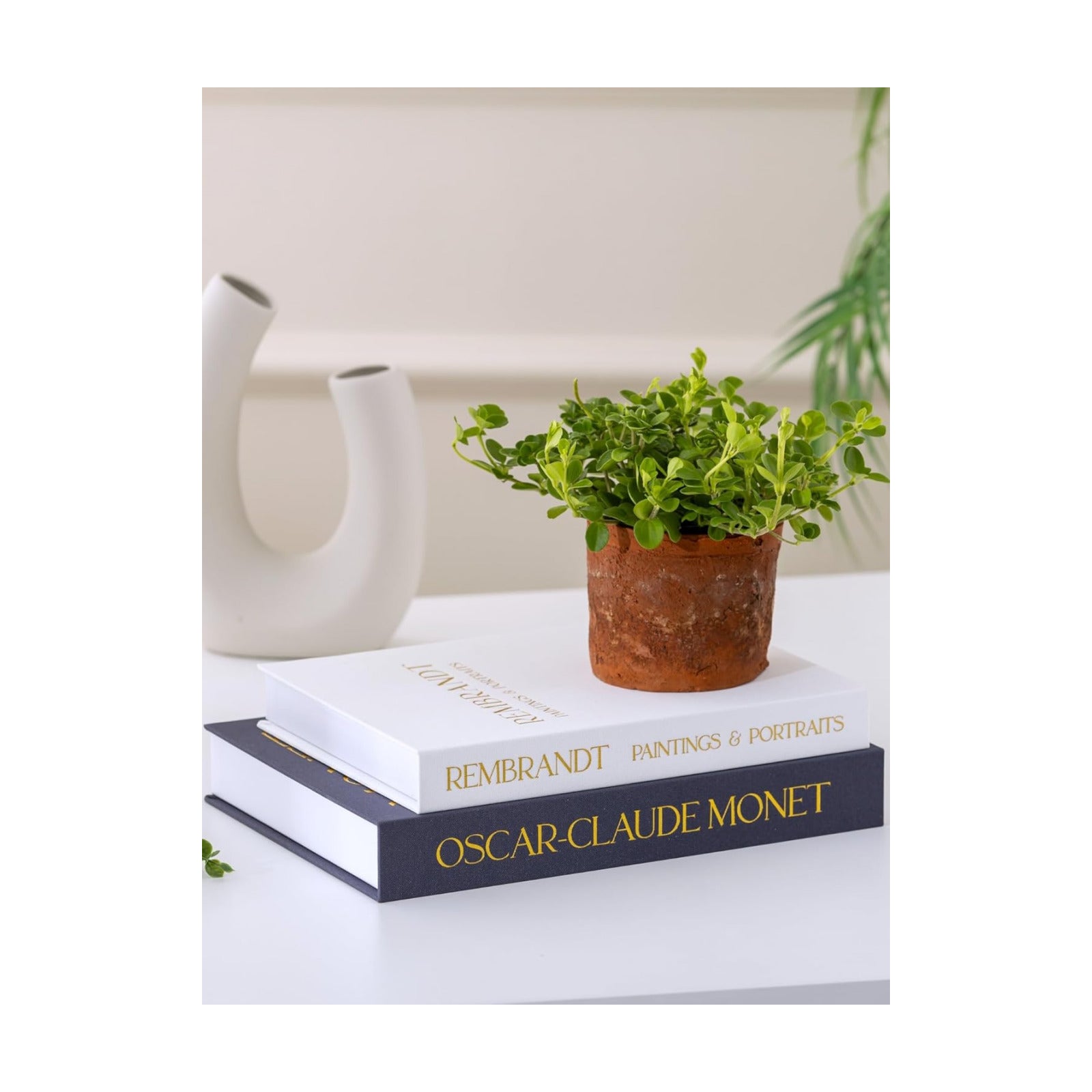 Elegant Faux Linen Hidden Storage Books / Gray-white / Set of 2