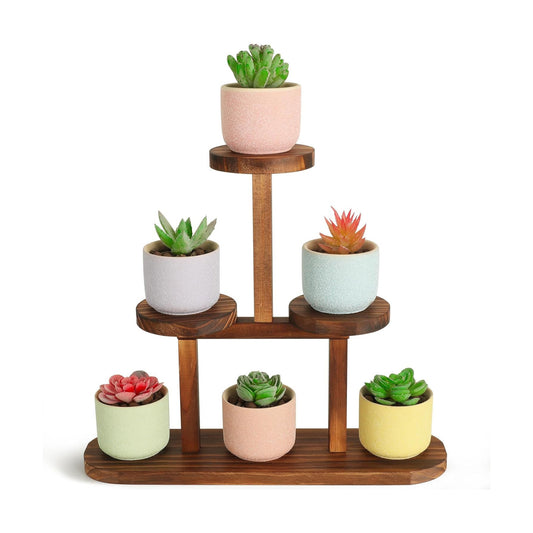 3 Tier Wood Table Top Plant Stand / Round Shape - 4 Tier