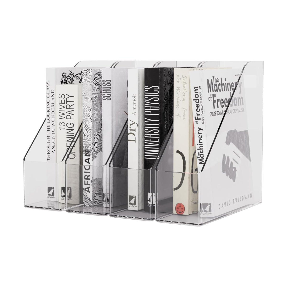 Magazine Holder, Clear Plastic Vertical File Magazine Organizer, Desktop File Magazine Book Storage Shelf for Office