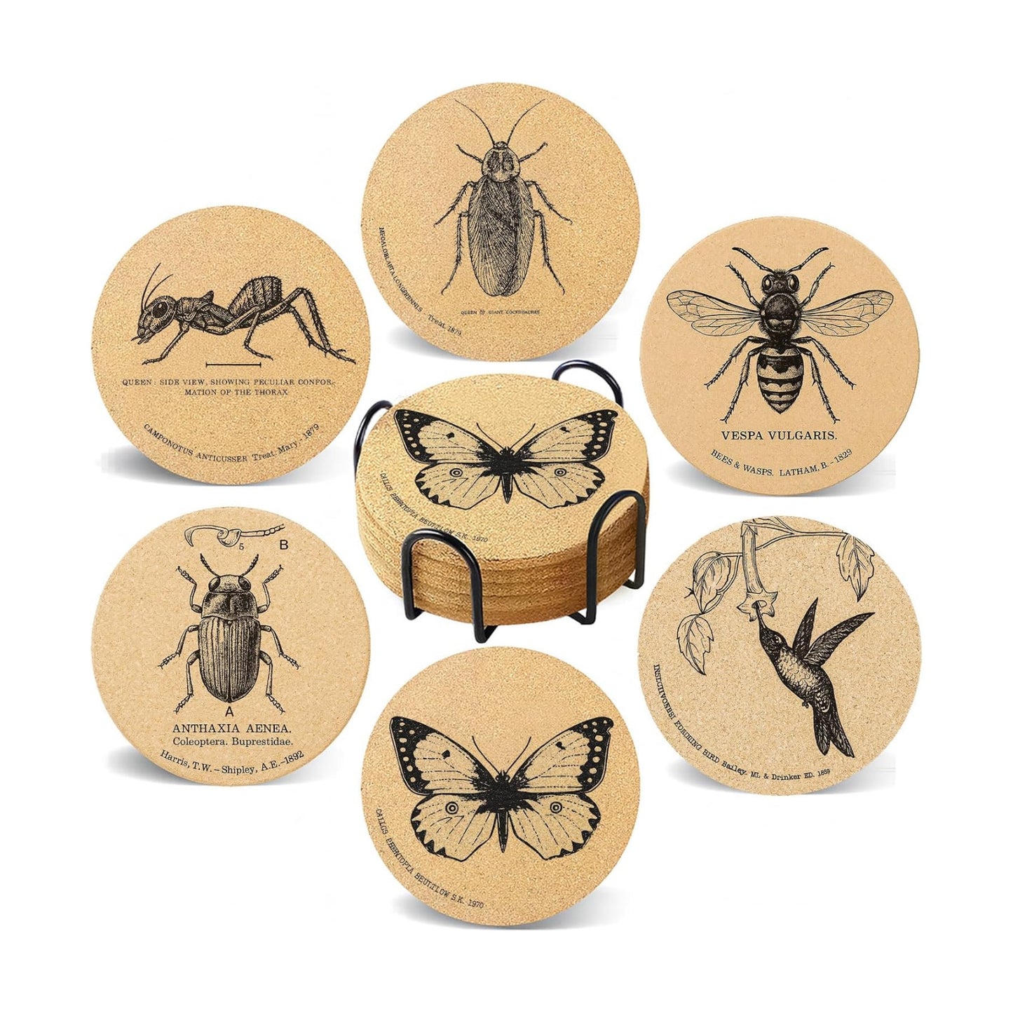Holder / Coasters for Drinks / Insects / Set of 6