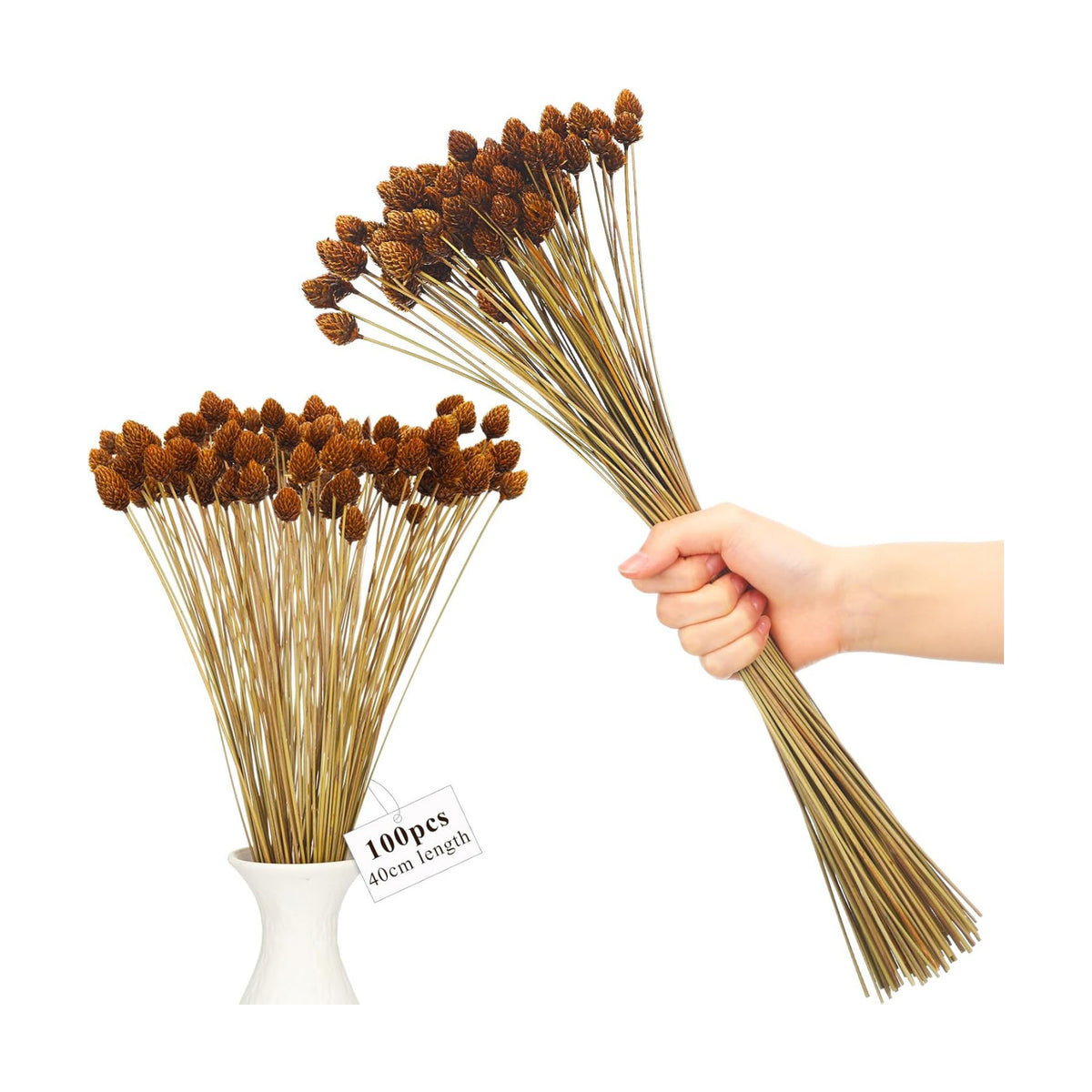 WILLBOND 100pcs Fall Dried Flowers Mini Pine Cones with Stems 15.7in