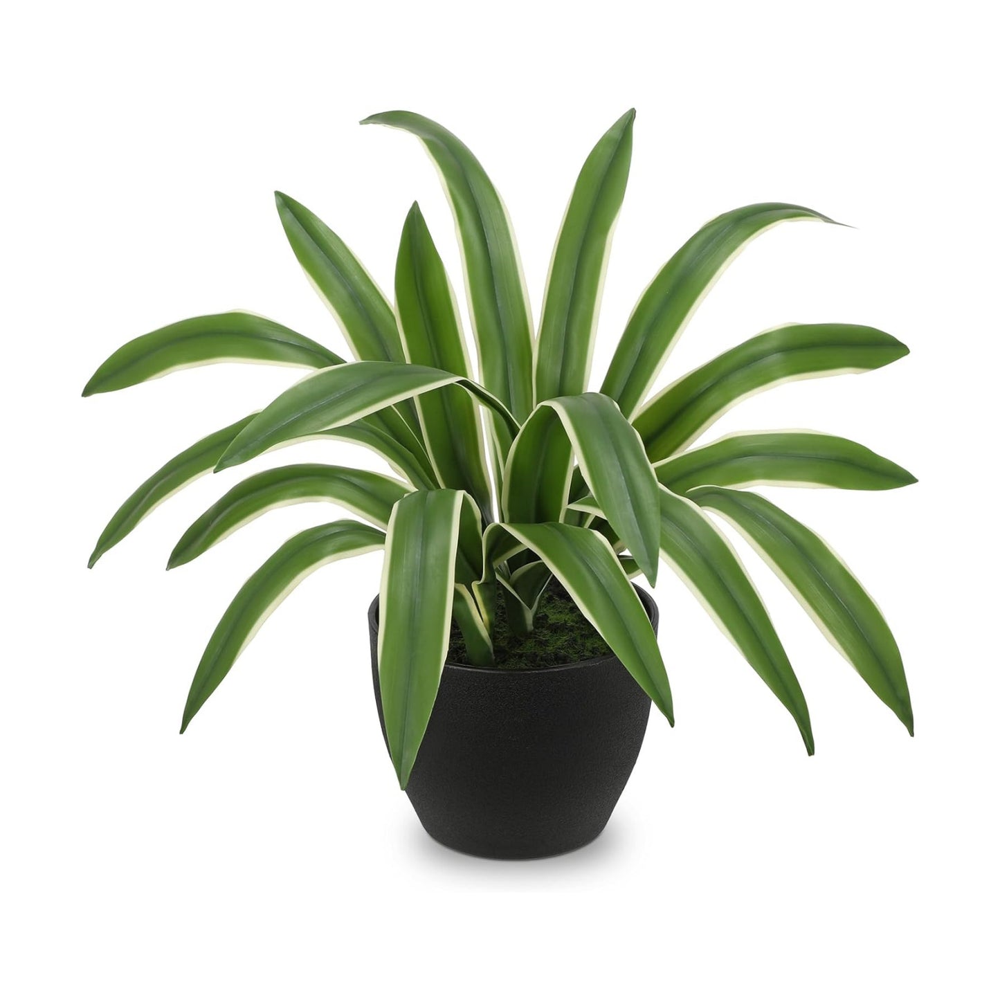Artificial Cymbidium Leaves Plants 13.7" Fake Spiked Agave Plant in Black Pot Faux / Yellow