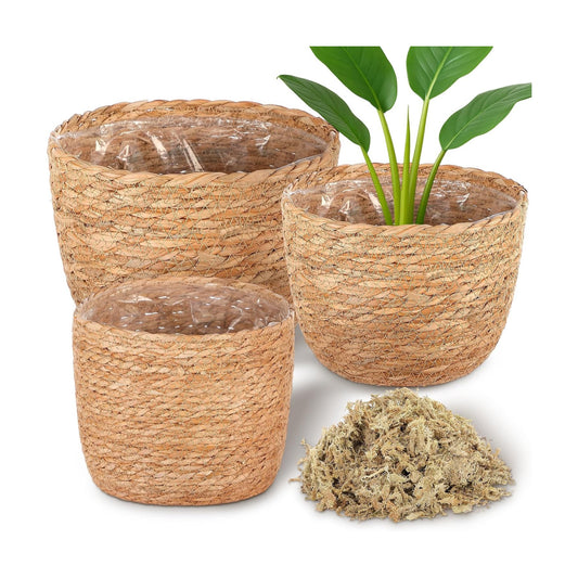 Seagrass Plant Basket Indoor / Set of 3