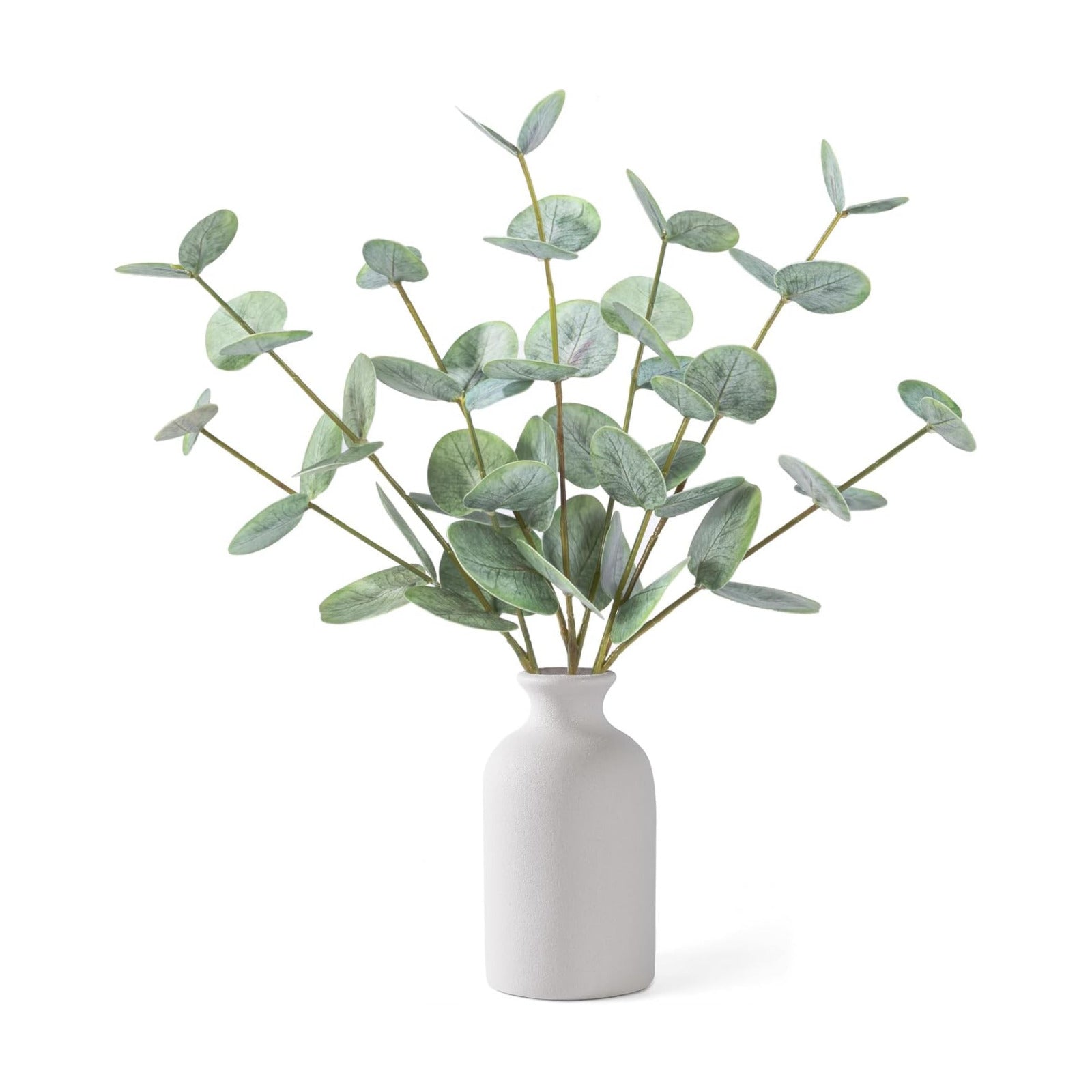 Artificial Eucalyptus Stems in Ceramic Vase / Green Eucalyptus - White Round Ceramic Vase
