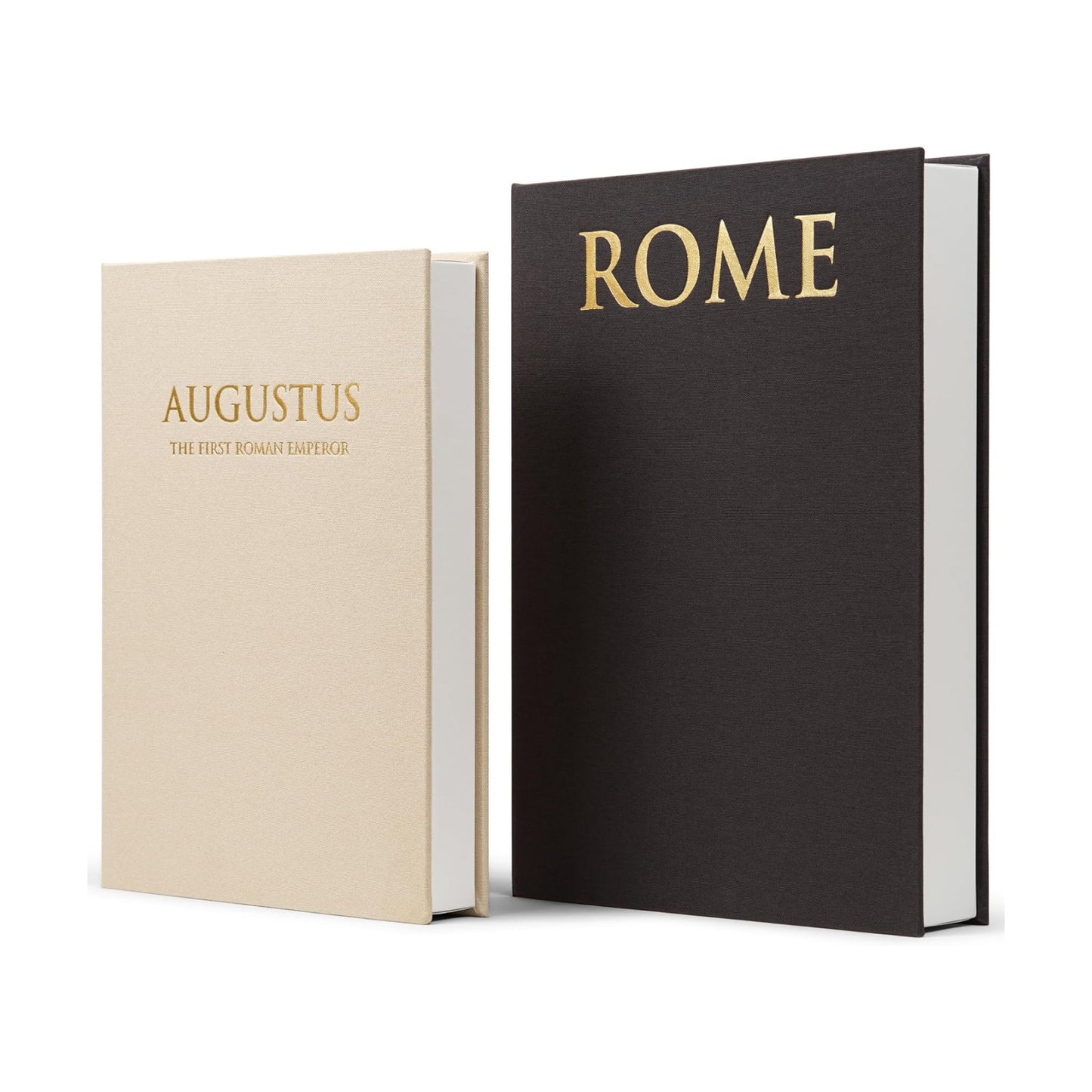 Faux Books for Decoration / Beige and Graphite / Set of 2
