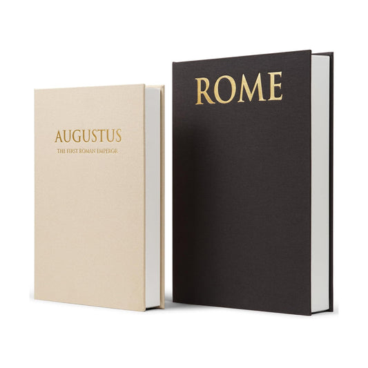 Faux Books for Decoration / Beige and Graphite / Set of 2
