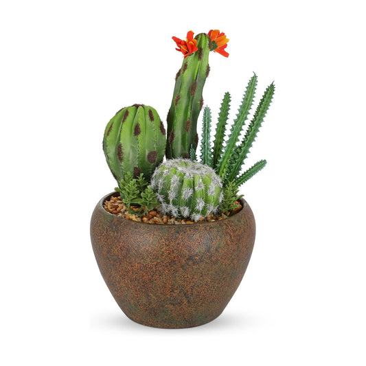 Assorted Artificial Cactus Plants Indoor