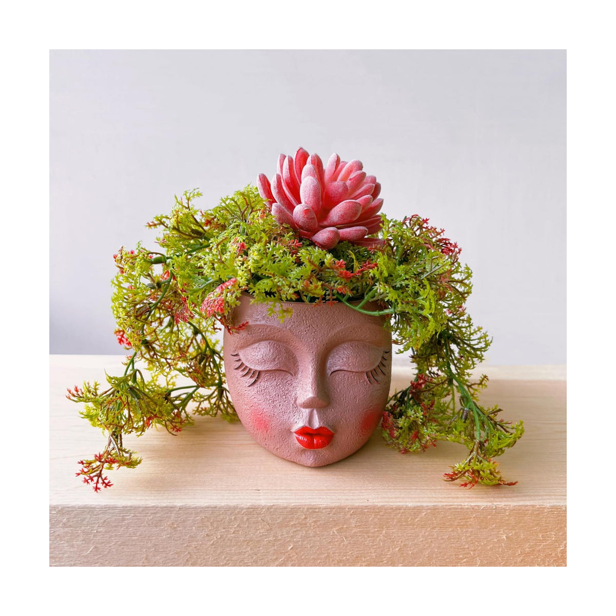 Face Planter Pot,Small Cute Resin Flower Head Planter with Red Lip,Brown,1P