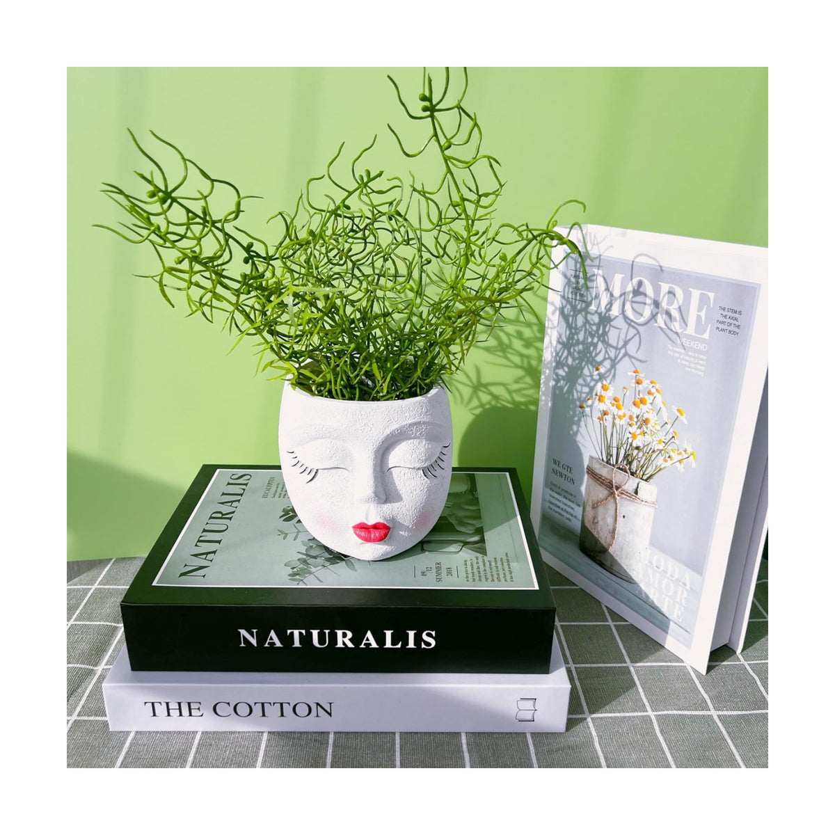 Face Planter Pot,Small Cute Resin Flower Head Planter with Red Lip,White,1P