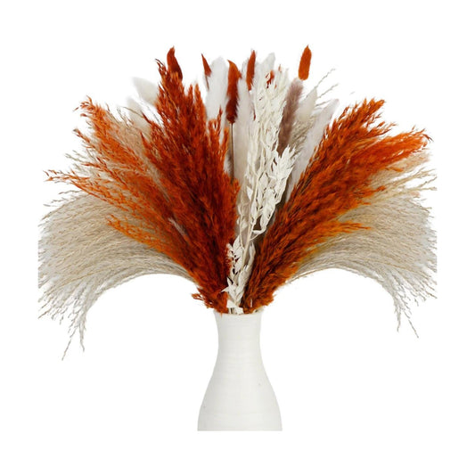 Pampas Grass Dried Flowers for Vase / Mixed Burnt Orange