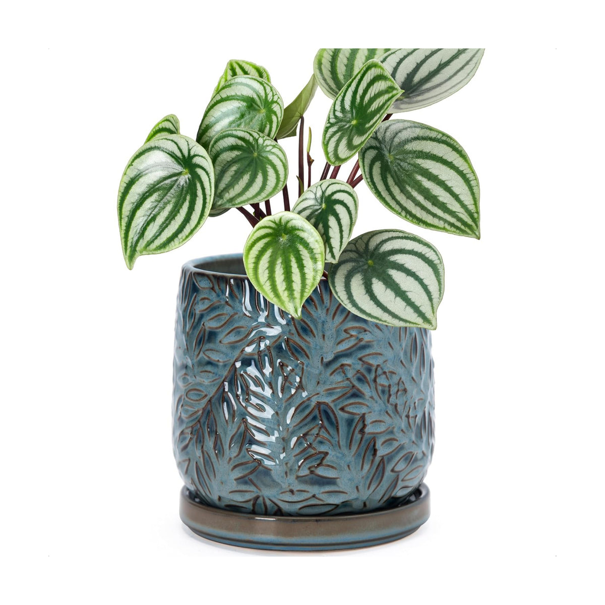 D'vine Dev Embossed Leaves Ceramic Planter, 6 in, Ocean Teal, 27-A-X-8