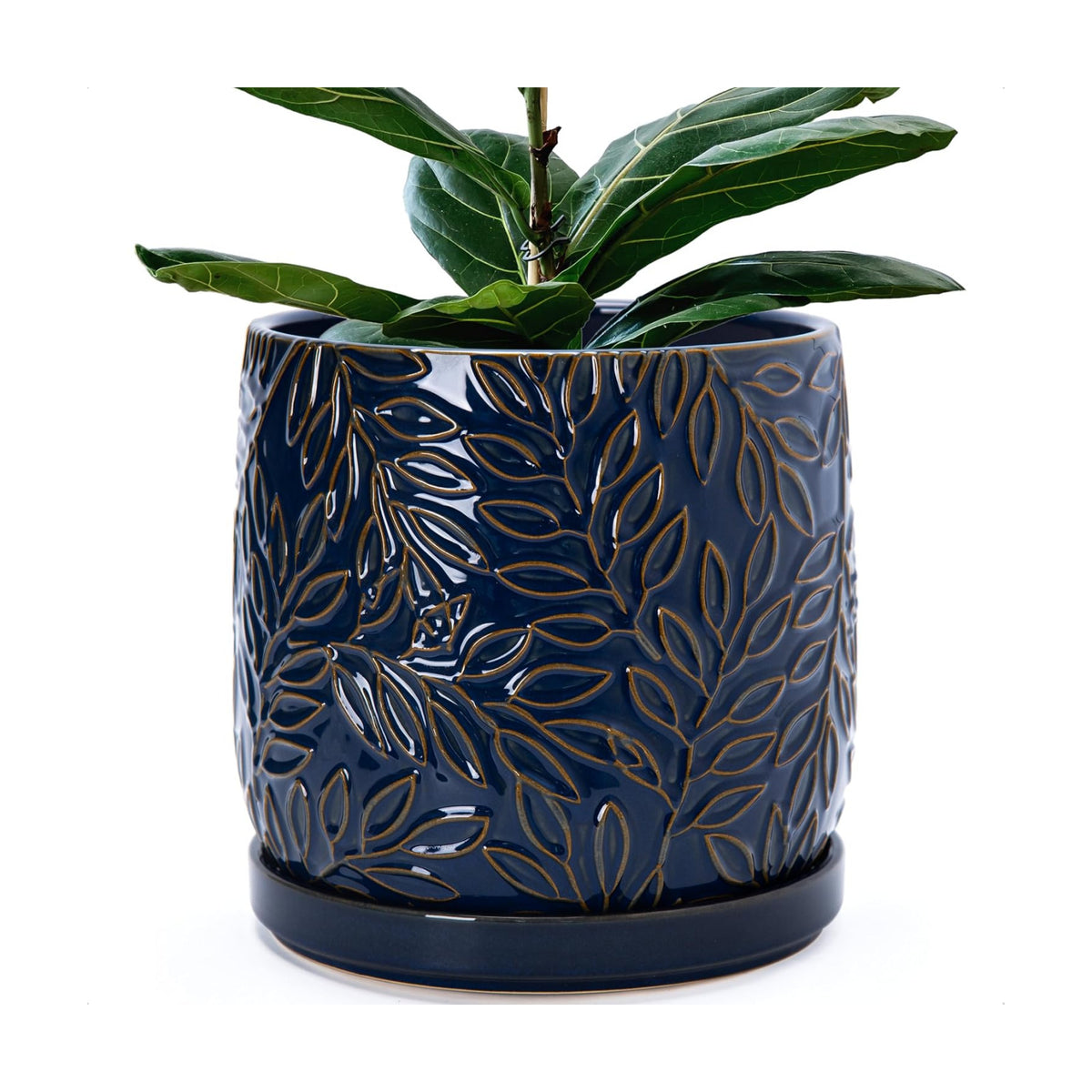 D'vine Dev Embossed Leaves Ceramic Planter, 10 in, Midnight Blue, 27-A-P-3