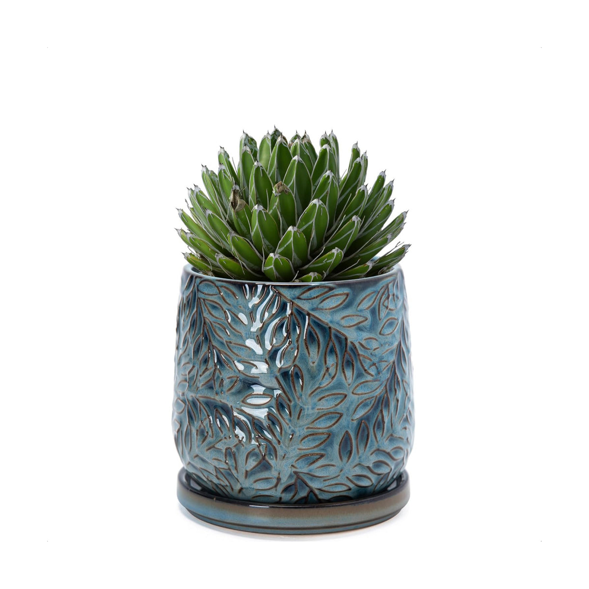 D'vine Dev Embossed Leaves Ceramic Planter, 5 in, Ocean Teal, 27-A-V-8