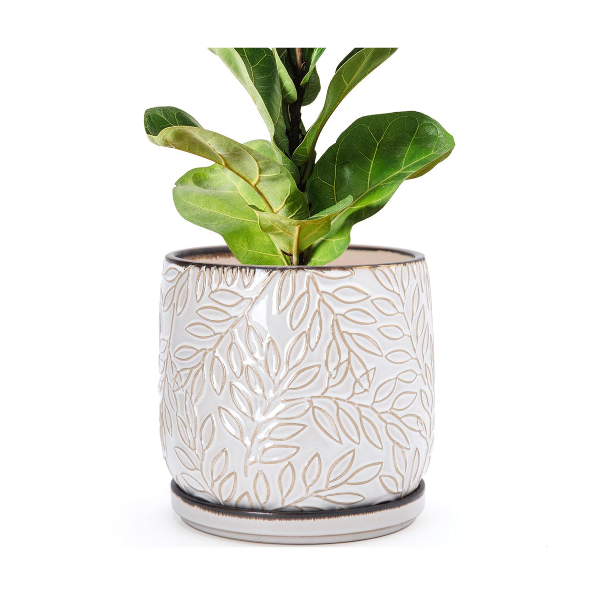 D'vine Dev Embossed Leaves Ceramic Planter, 8 in, Smoked White, 27-A-Q-1