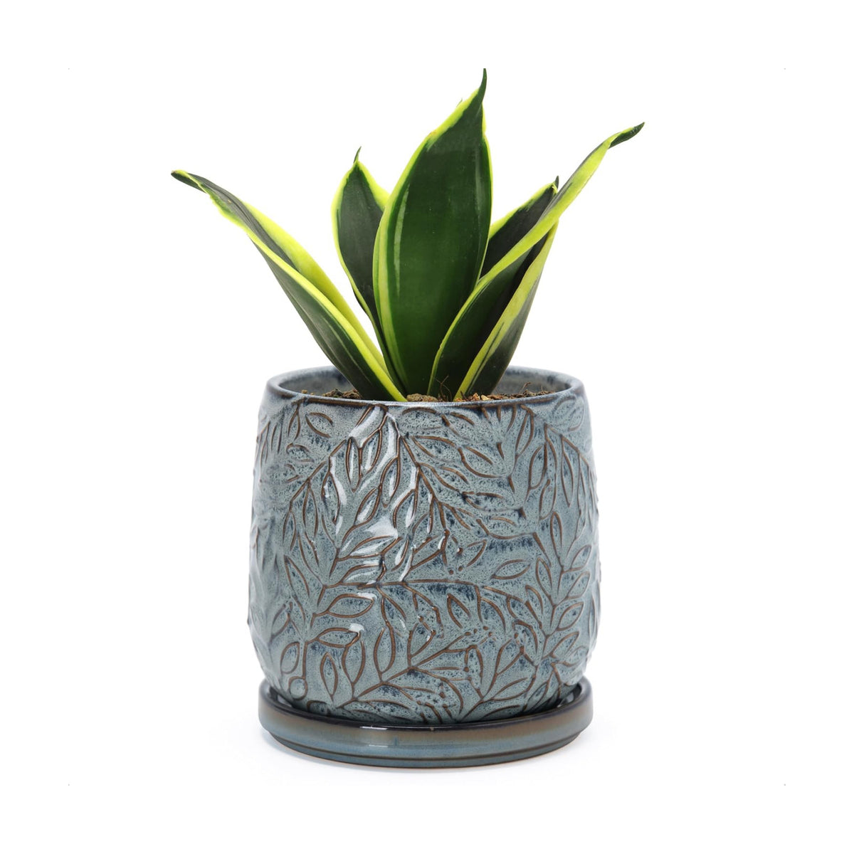 D'vine Dev Embossed Leaves Ceramic Planter, 5 in, Graphite Blue, 27-A-V-9