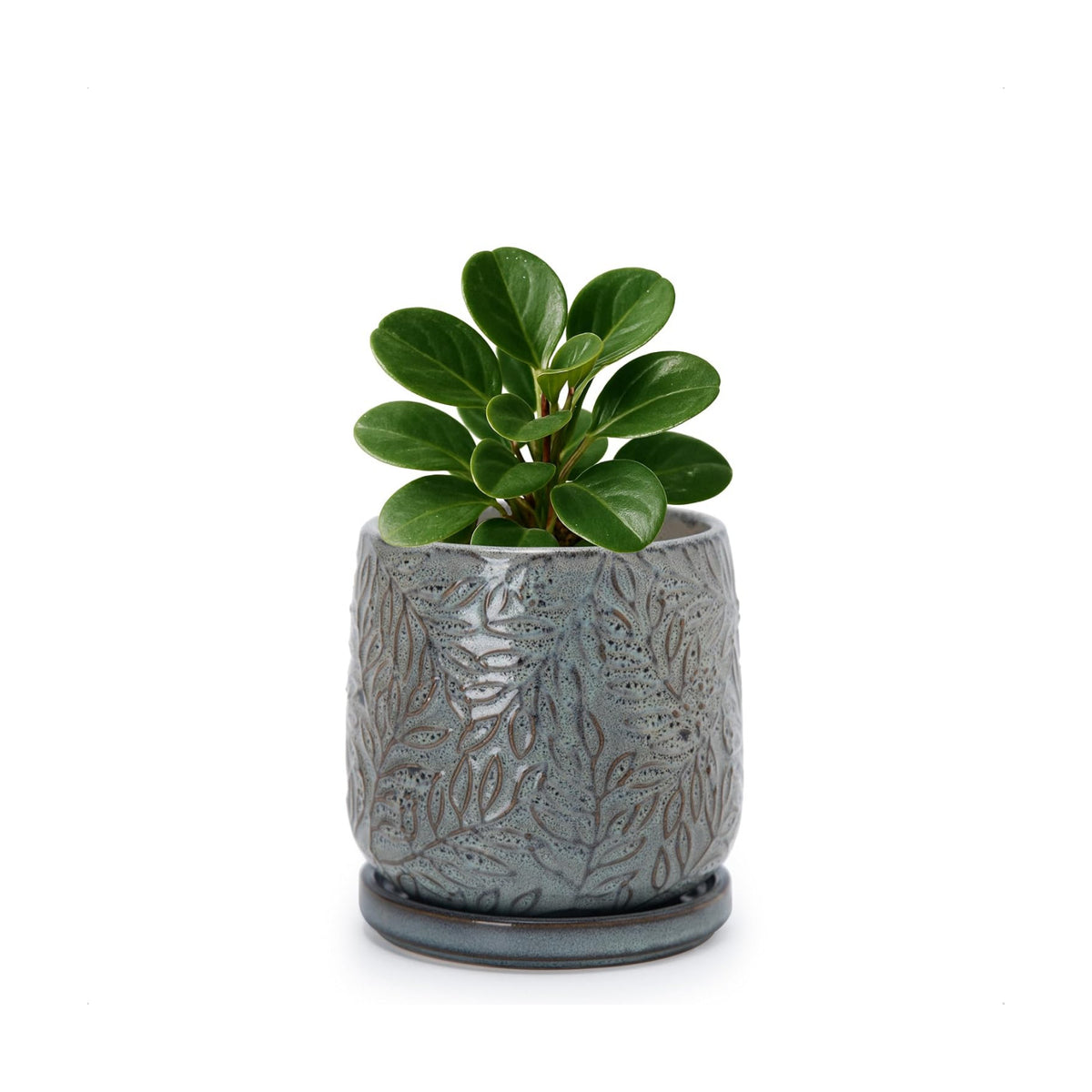 D'vine Dev Embossed Leaves Ceramic Planter, 4 in, Graphite Blue, 27-A-Z-9