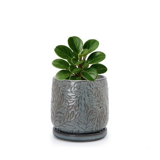 D'vine Dev Embossed Leaves Ceramic Planter, 4 in, Graphite Blue, 27-A-Z-9
