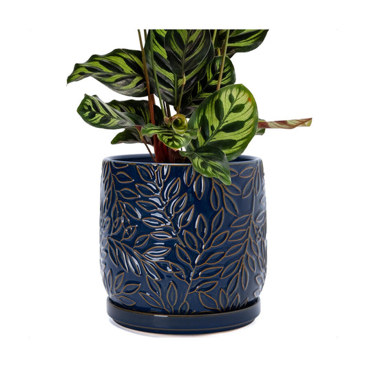 D'vine Dev Embossed Leaves Ceramic Planter, 8 in, Midnight Blue, 27-A-Q-3