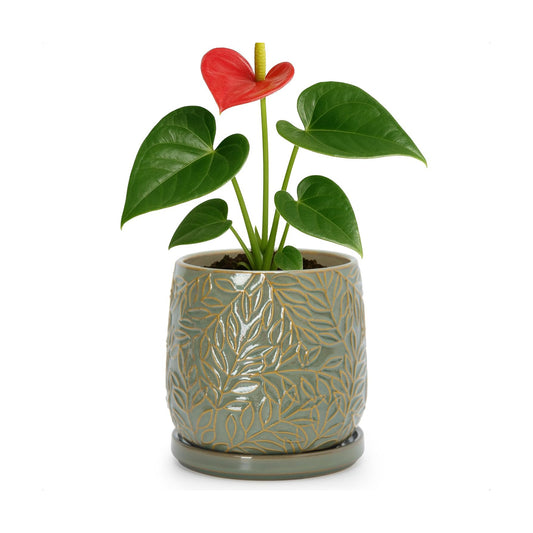 D'vine Dev Embossed Leaves Ceramic Planter, 5 in, Olive, 27-A-V-0
