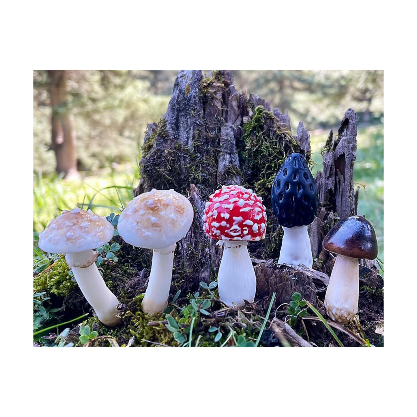 DIY Mini Mushrooms for Terrariums Potted Plant Holiday / Set of 5