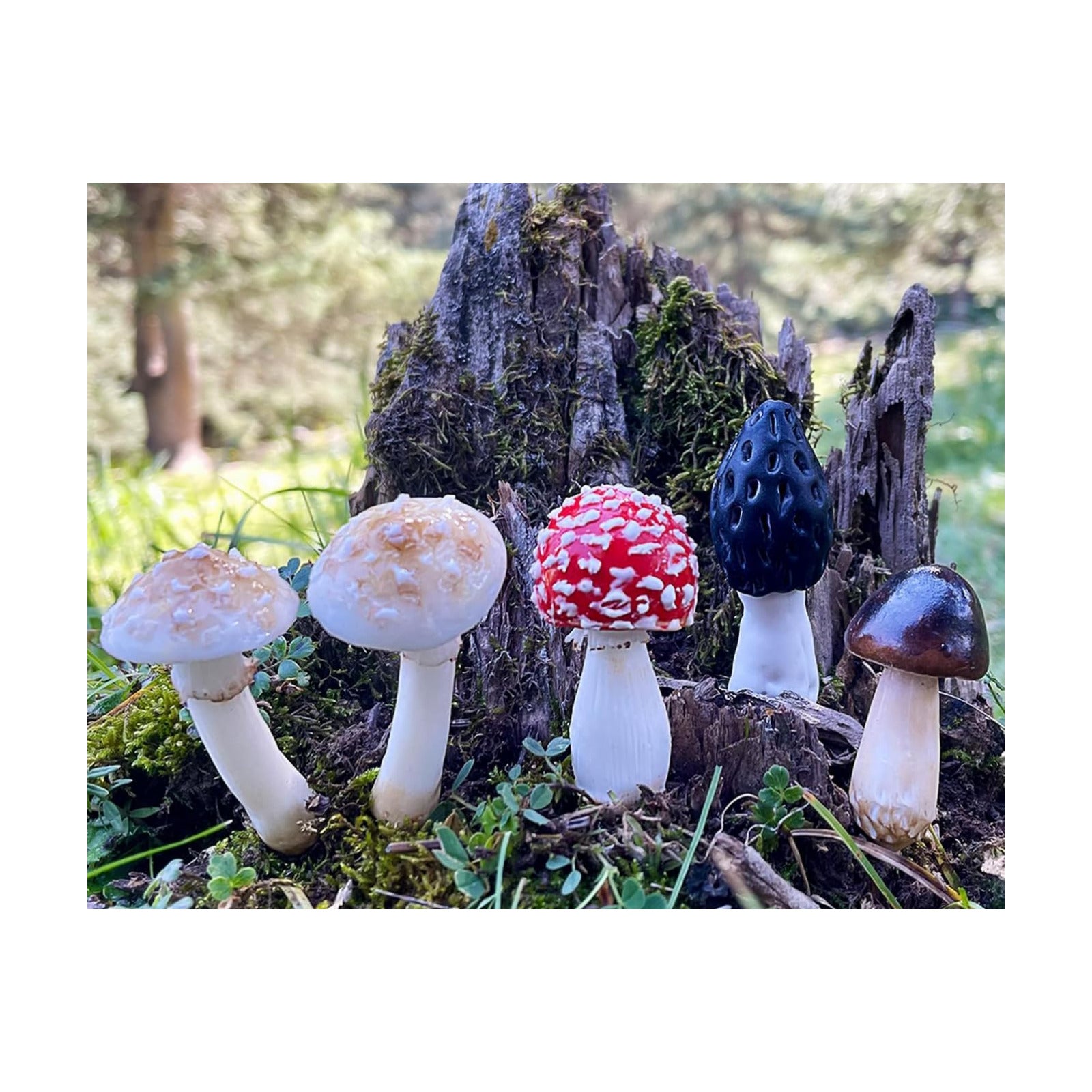 DIY Mini Mushrooms for Terrariums Potted Plant Holiday / Set of 5