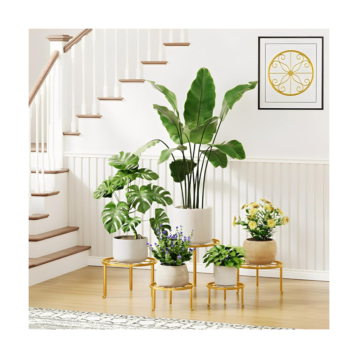 5 Pack Metal Plant Stand, Round Short Flower Pot Holder Rack for Indoor Outdoor