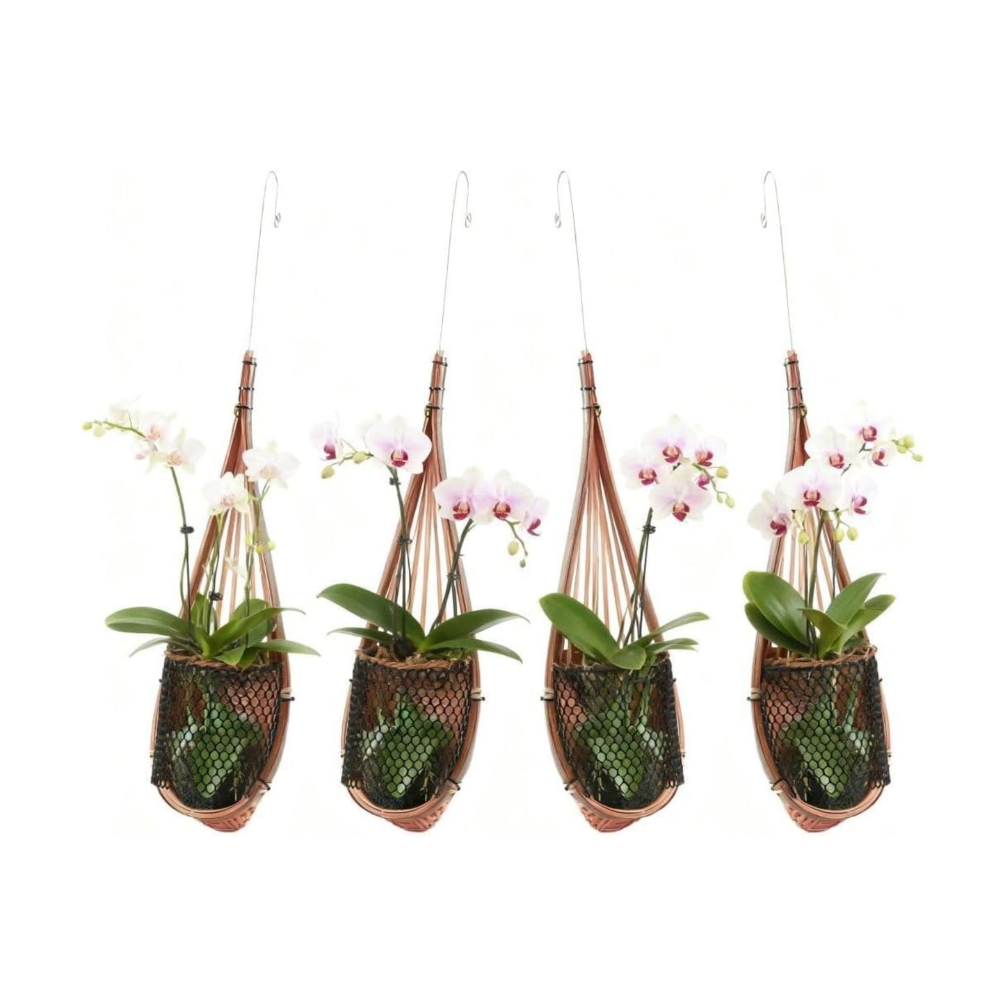 SatisJoy Orchid Hanging Planter / Brown / 5 Inch