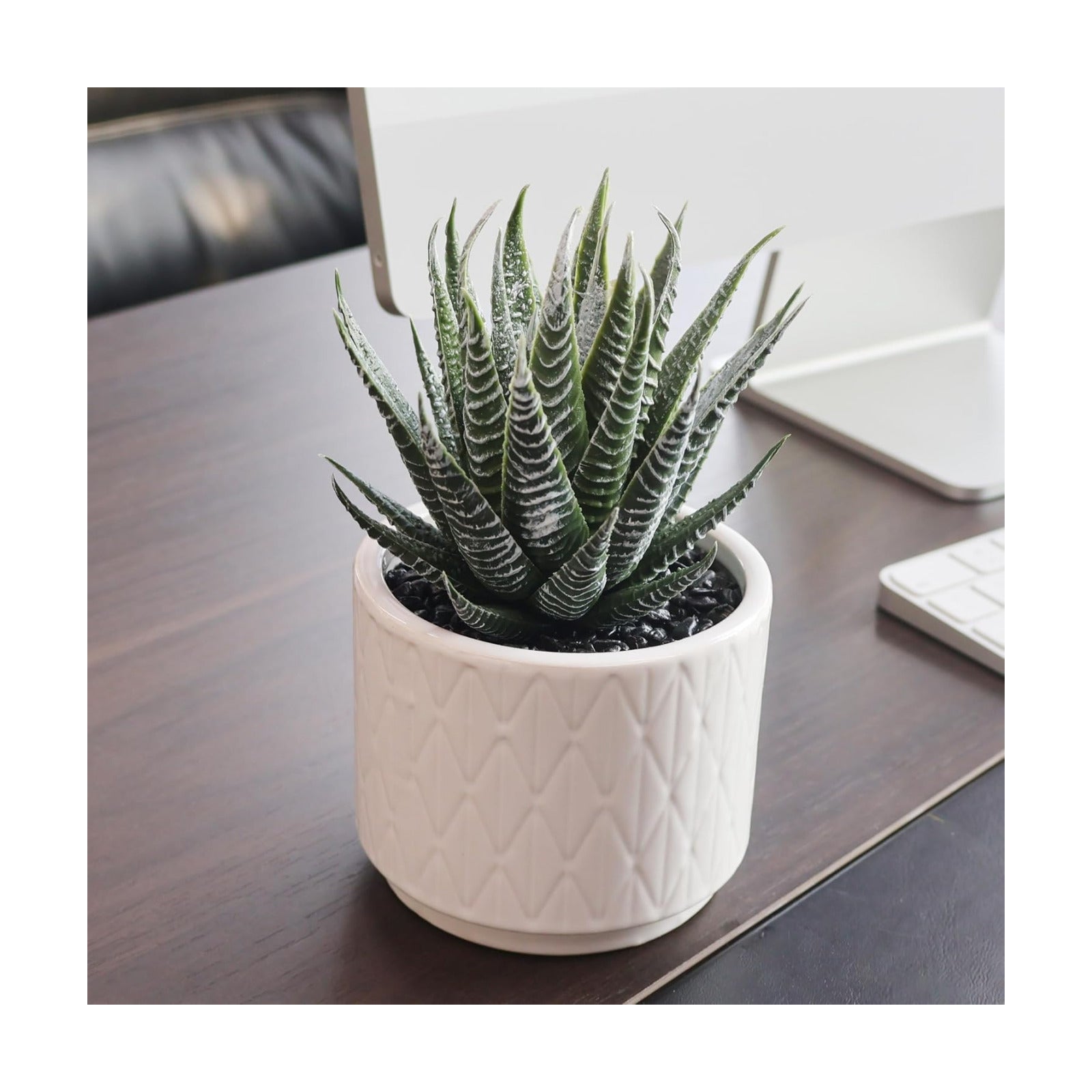 6.7'' High Faux Plants Indoor / Natural Green Succulent In White Ceramic Pot