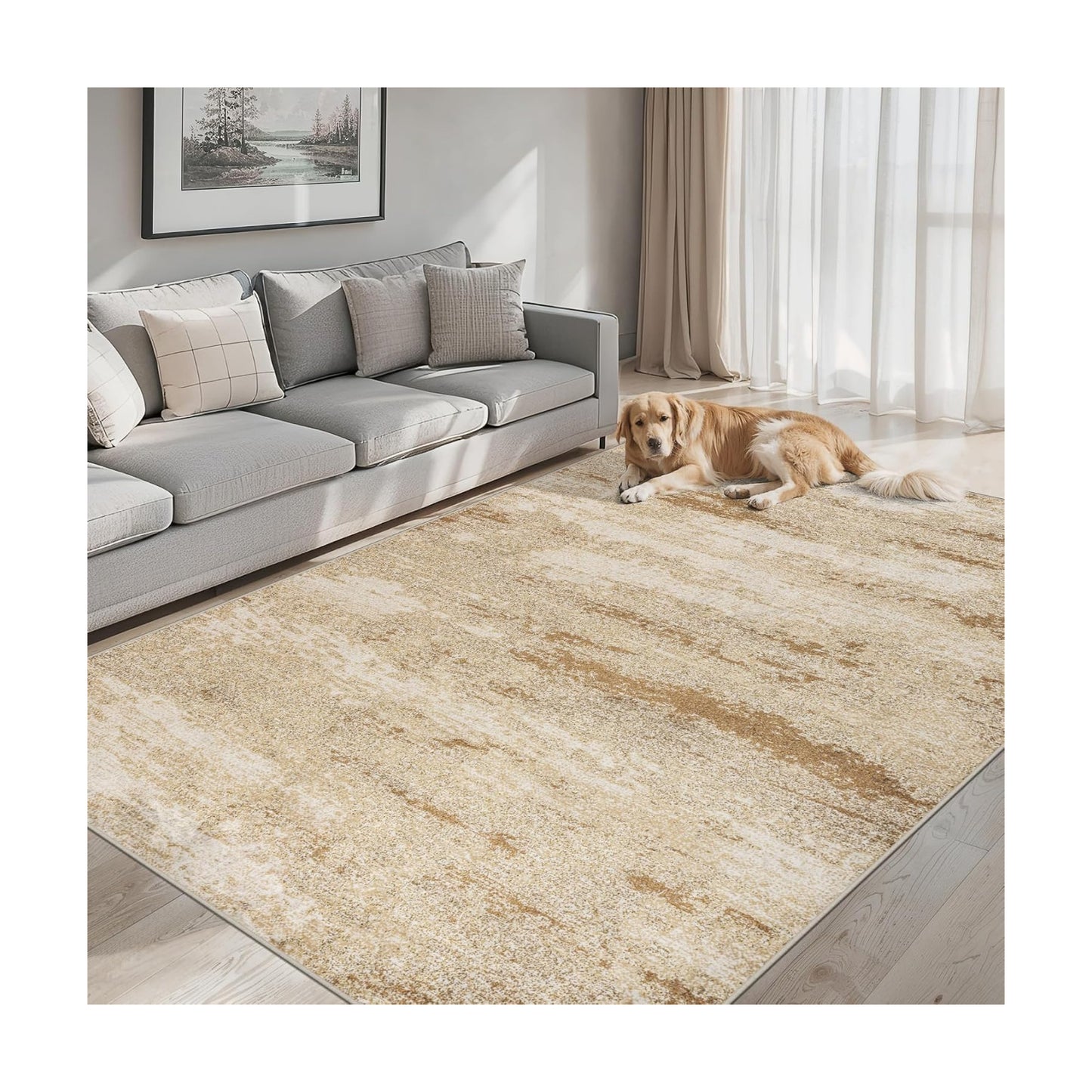 PLHXFR Area Rug Living Room: 4x6 Modern Abstract Washable Carpet Beige