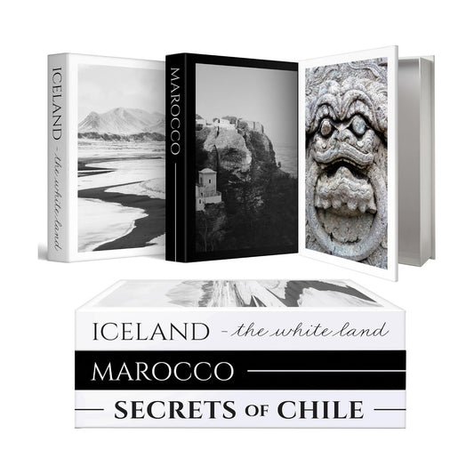 Decorative Books / Fake Coffee Table Books / Set of 3