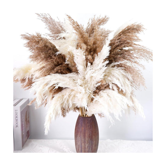 Tall Pampas Grass for Floor Vase / Natural / Set of 40