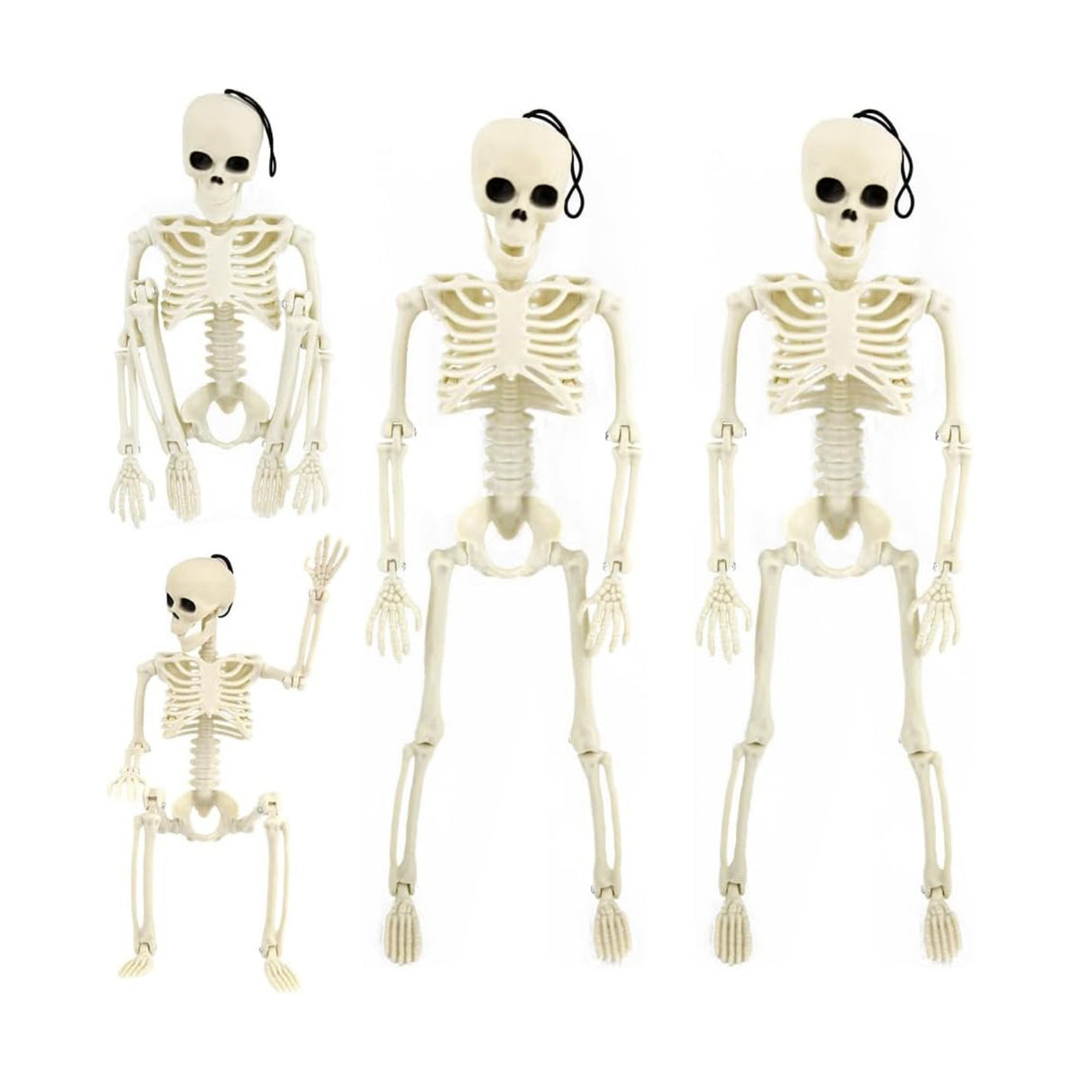 4 PCS 15.7" Posable Halloween Full Body Skeleton Decor with Movable Joints