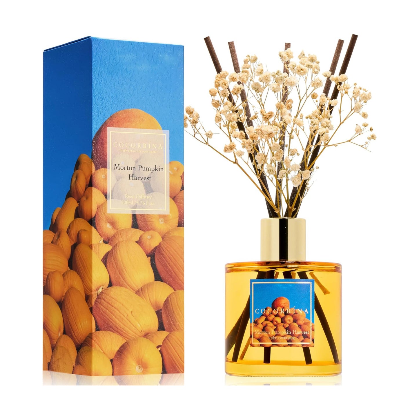 COCORRÍNA Reed Diffuser - Morton Pumpkin Harvest Reed Diffuser Set with 8 Sticks & Preserved Baby's Breath, Reed