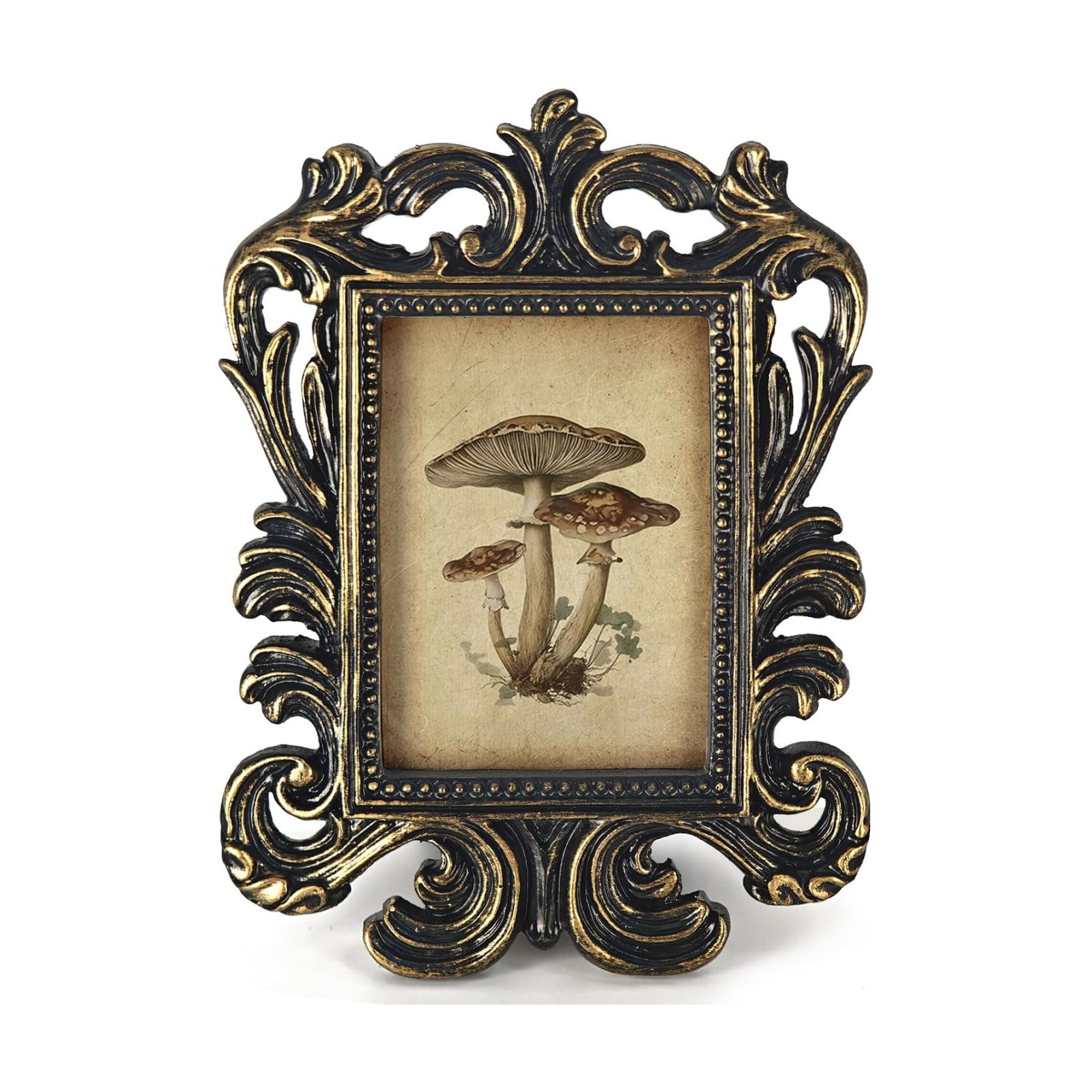 Vintage Small Picture Frame / Mushroom