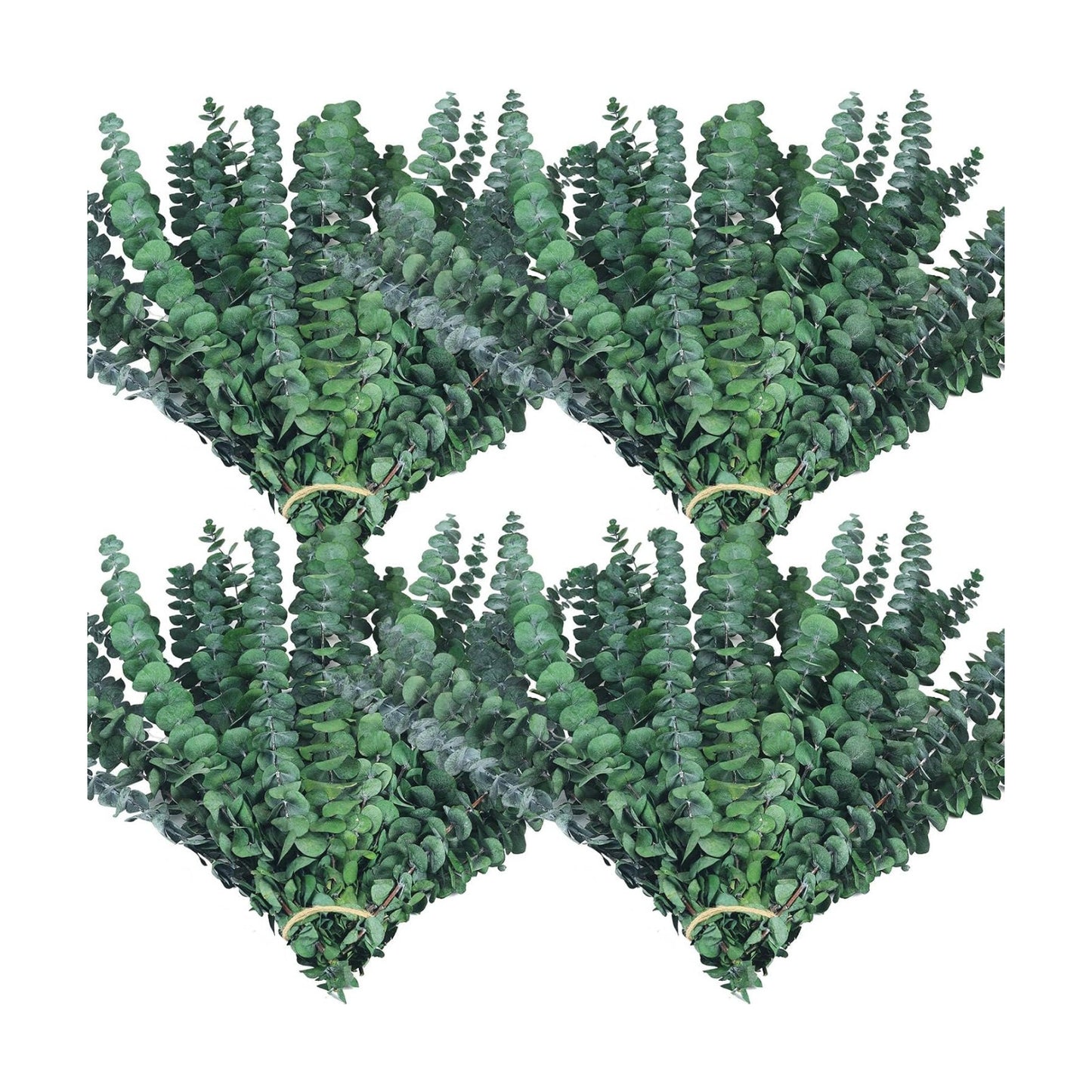 Maintenance-Free Dried / Natural / Set of 60