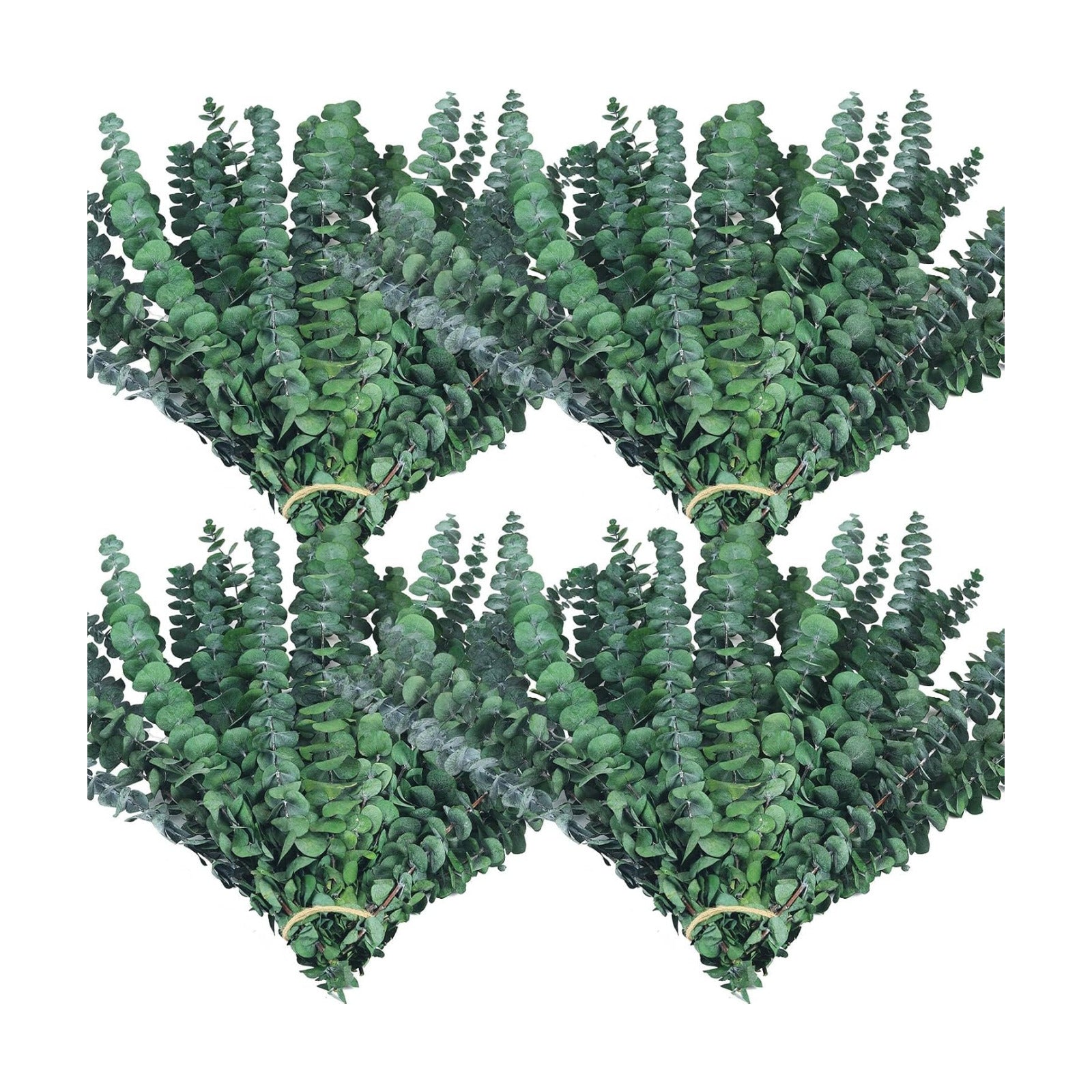 Maintenance-Free Dried / Natural / Set of 60