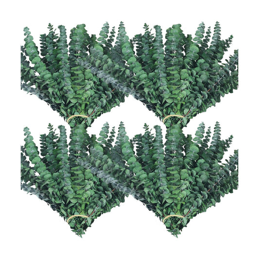 Maintenance-Free Dried / Natural / Set of 60