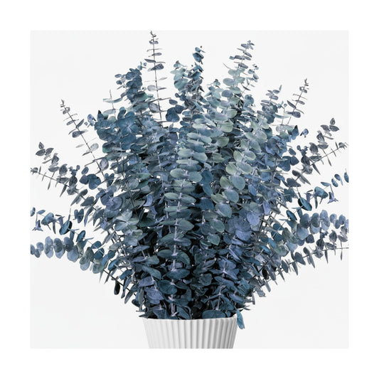 17" -Green Preserved Eucalyptus Stems for Vase / Blue / Set of 26
