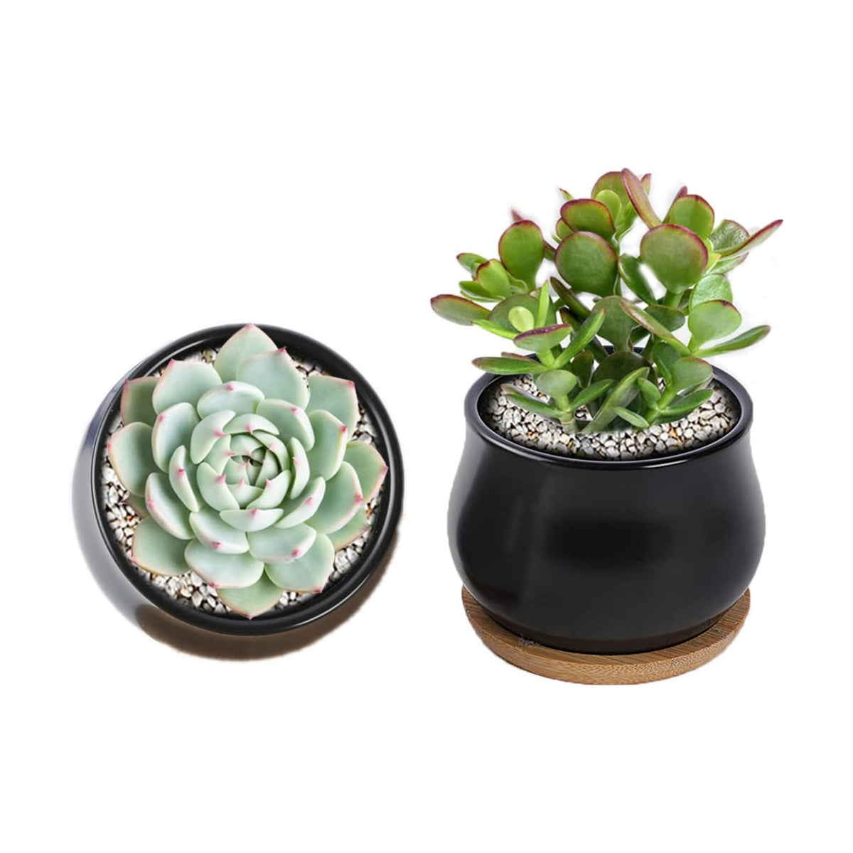 SHECIPIN 2 Pack Succulent Pots, 2.5 Inch Mini Ceramic Pots for Flower or Cactus Plants with Drainage Hole,Plants Not Included (Black)